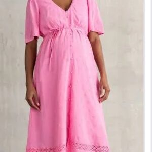 Seraphine Maternity and Nursing Dress